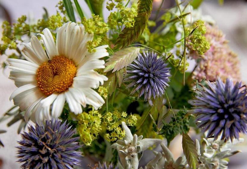 جناح سوبيريور, Central   Das Kleine Boutique Hotel Am Achensee