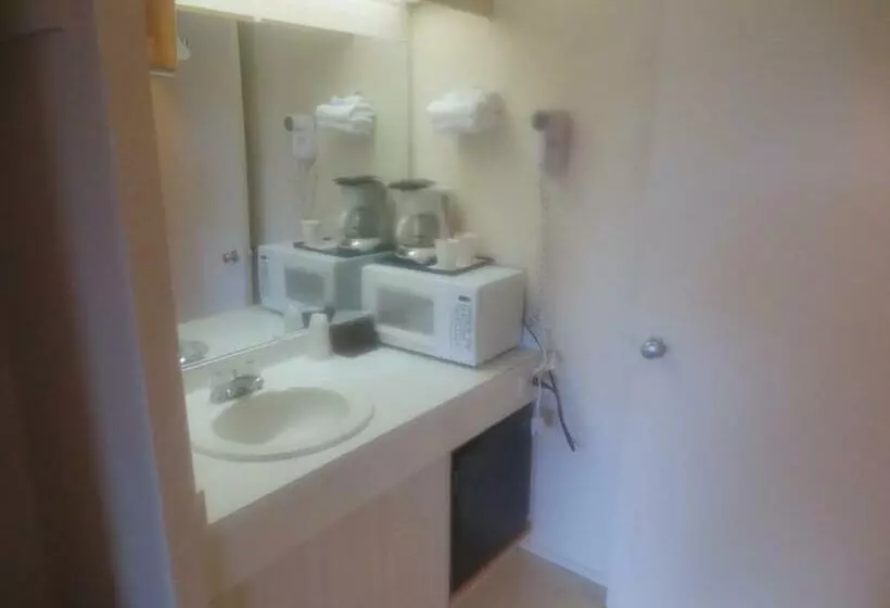 エコノミールーム, Downtowner Inn