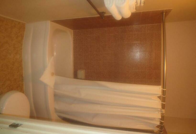 标准间, Downtowner Inn