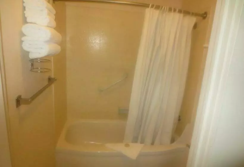 エコノミールーム, Downtowner Inn