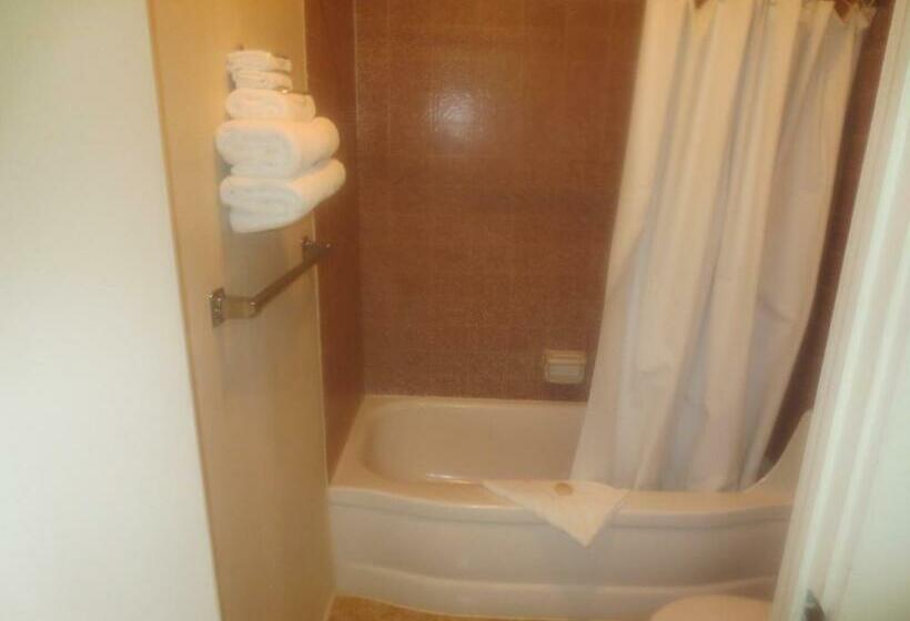 标准间, Downtowner Inn