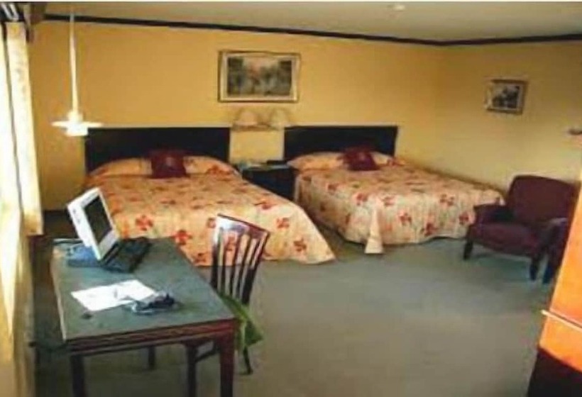 标准间, Downtowner Inn