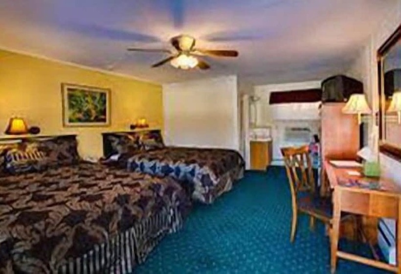 标准间, Downtowner Inn