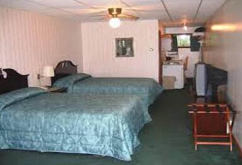 Номер Стандарт, Downtowner Inn