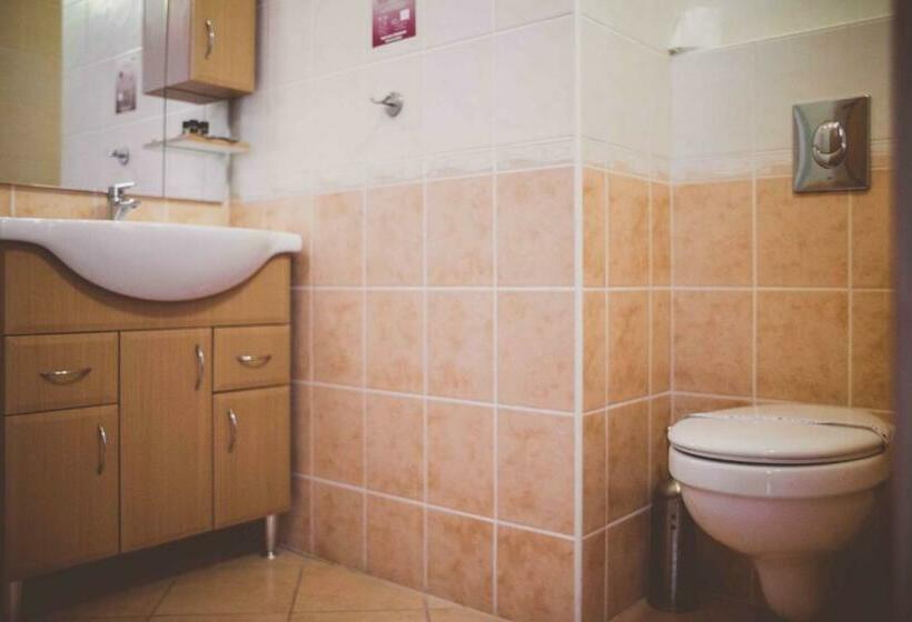 חדר ביזנס, Fordan Hotel Pécs