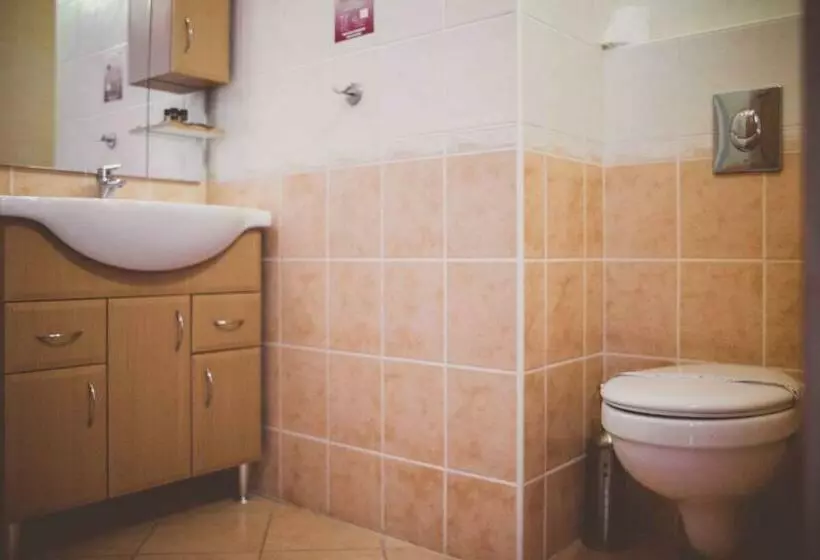 اتاق کلاس بیزنس, Fordan Hotel Pécs
