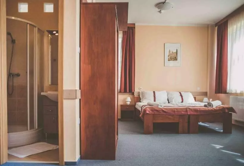 اتاق لوکس خانوادگی, Fordan Hotel Pécs
