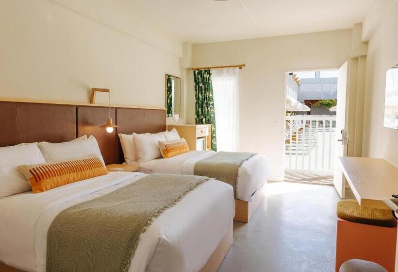 Номер Стандарт Адаптированный для Инвалидов, Lucine