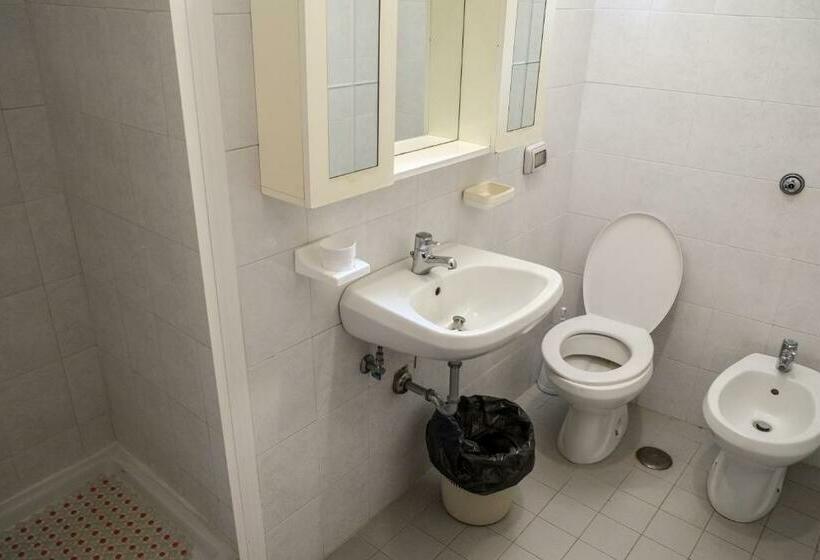 スタンダードルーム, Paradiso