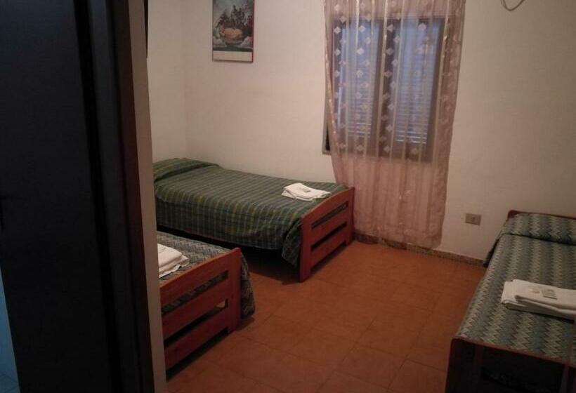 スタンダードルーム, Paradiso