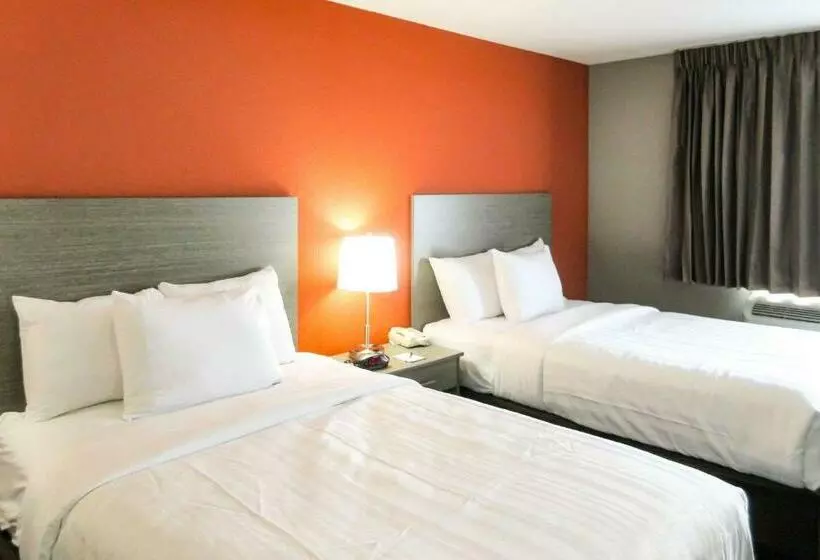 ２ダブルベッドのスタンダードルーム, Quality Inn & Suites Hammond Near I 8090