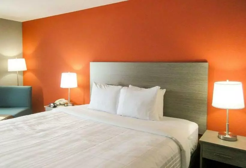 キングサイズベッドのスタンダードルーム, Quality Inn & Suites Hammond Near I 8090