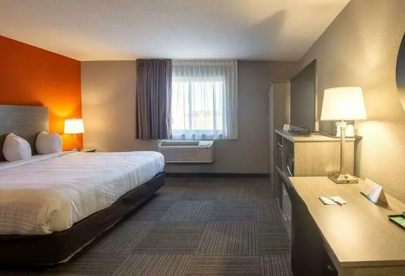 キングサイズベッドのスタンダードルーム, Quality Inn & Suites Hammond Near I 8090