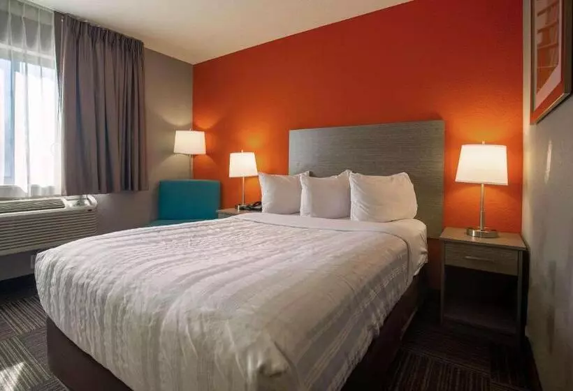 身障者適用スタンダードルーム, Quality Inn & Suites Hammond Near I 8090