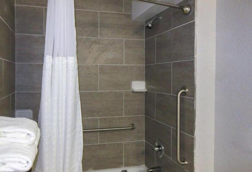 اتاق استاندارد برای معلولان, Quality Inn & Suites Hammond Near I 8090