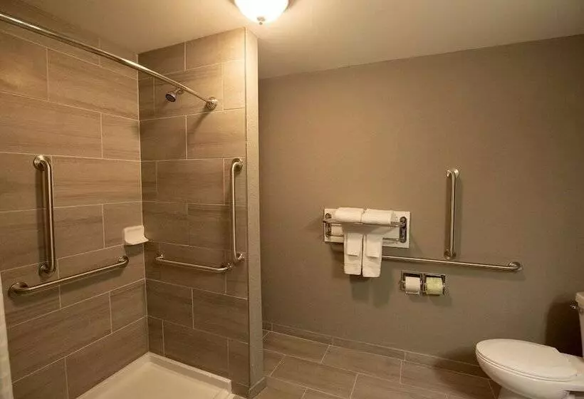 身障者適用スイートルーム, Quality Inn & Suites Hammond Near I 8090