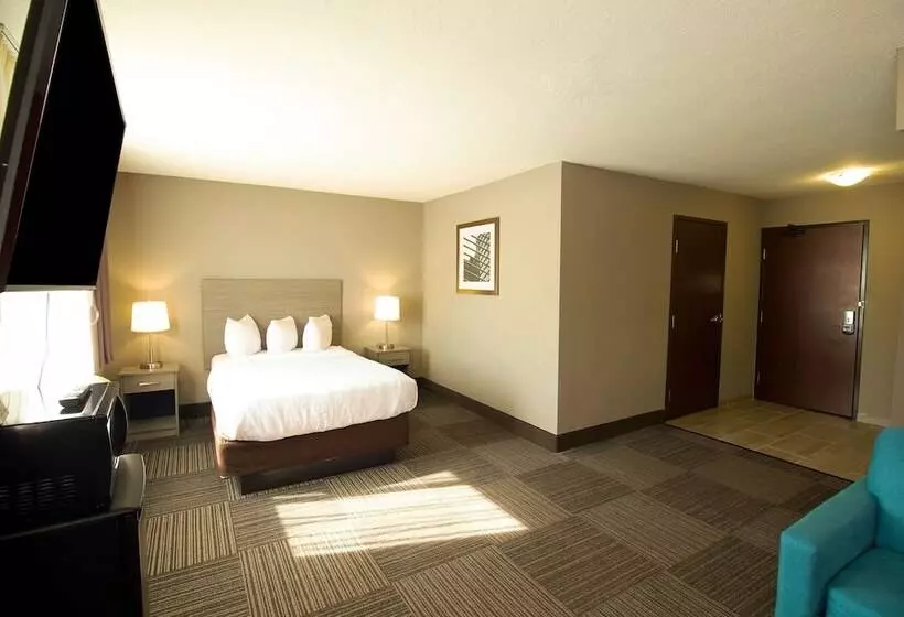 身障者適用スイートルーム, Quality Inn & Suites Hammond Near I 8090