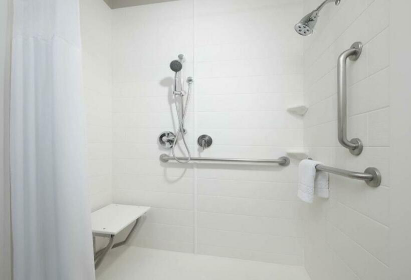 标准工作室, Springhill Suites By Marriott San Antonio Northwest At The Rim