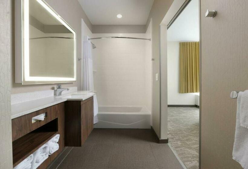 标准工作室, Springhill Suites By Marriott San Antonio Northwest At The Rim