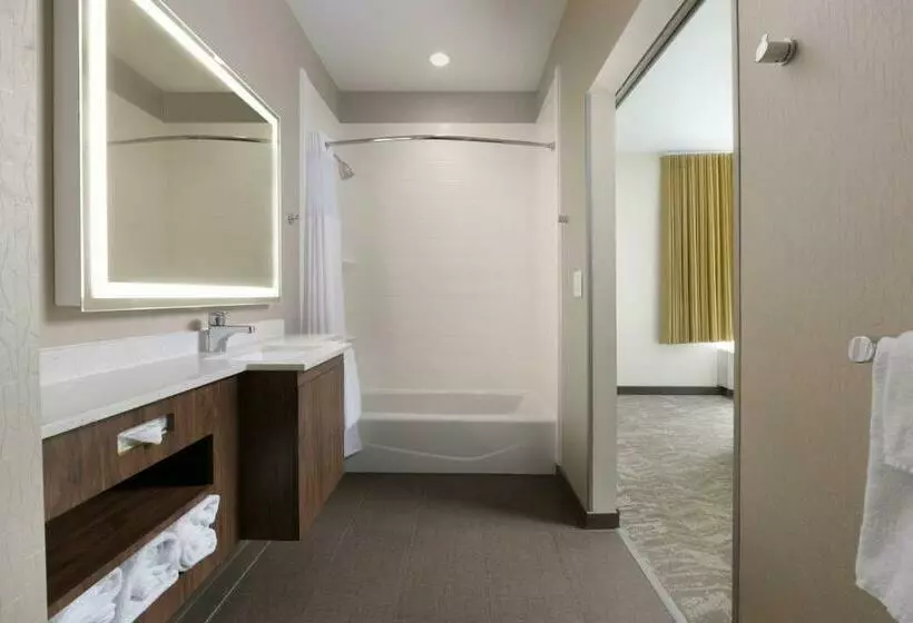スタンダードスタジオ, Springhill Suites By Marriott San Antonio Northwest At The Rim