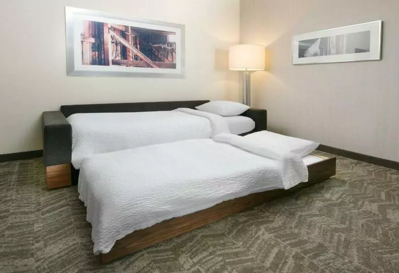 スタンダードスタジオ, Springhill Suites By Marriott San Antonio Northwest At The Rim