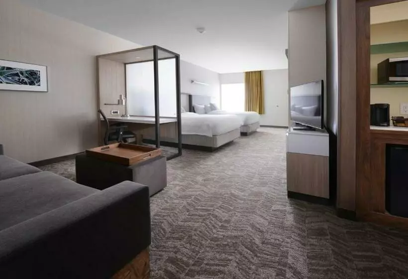 スタンダードスタジオ, Springhill Suites By Marriott San Antonio Northwest At The Rim