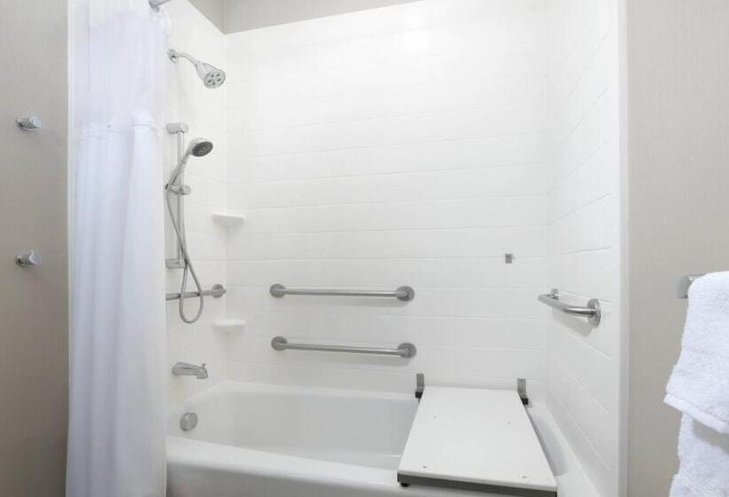 带大床的标准工作室, Springhill Suites By Marriott San Antonio Northwest At The Rim