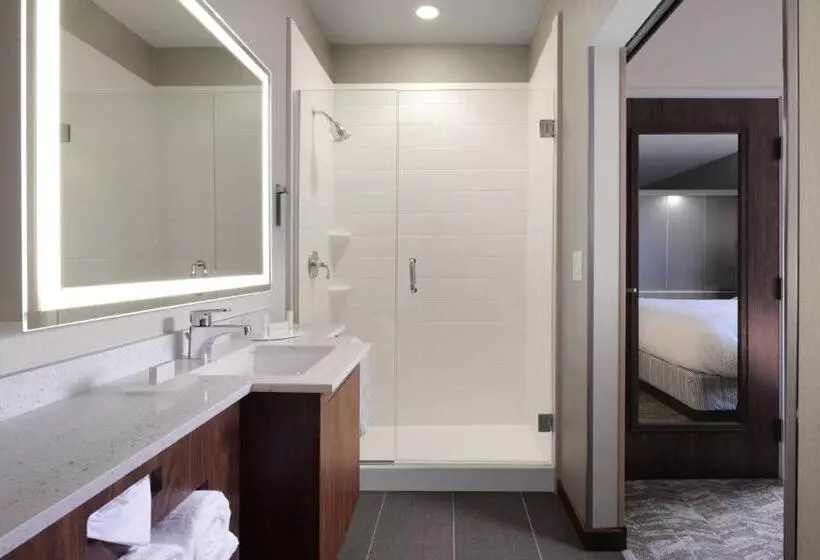 キングサイドベッドのスタンダードワンルーム, Springhill Suites By Marriott San Antonio Northwest At The Rim