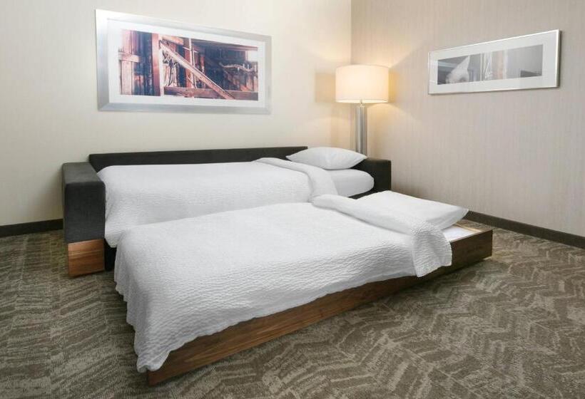 带大床的标准工作室, Springhill Suites By Marriott San Antonio Northwest At The Rim