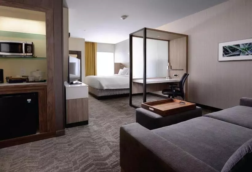 キングサイドベッドのスタンダードワンルーム, Springhill Suites By Marriott San Antonio Northwest At The Rim