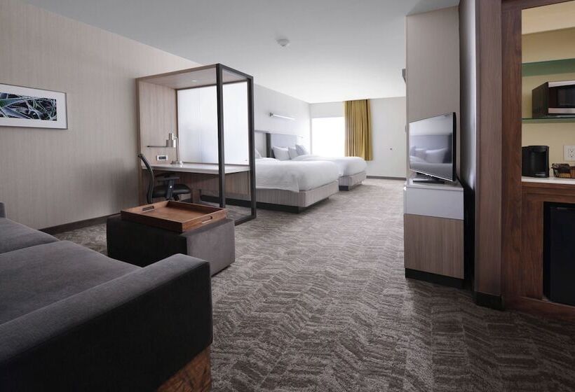 标准工作室, Springhill Suites By Marriott San Antonio Northwest At The Rim
