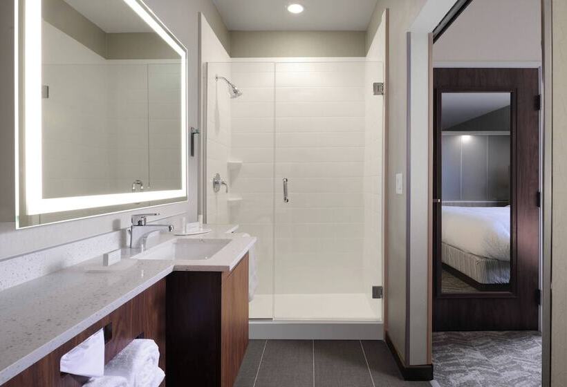 标准工作室, Springhill Suites By Marriott San Antonio Northwest At The Rim