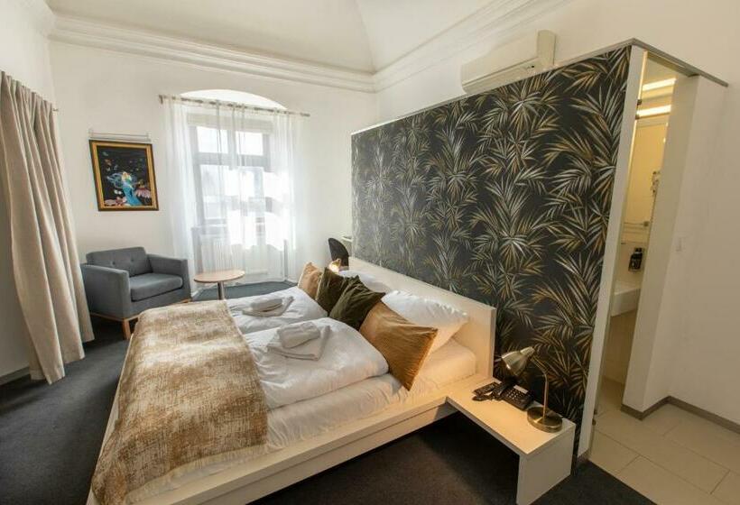 غرفة قياسية, Villa Nečas žilina