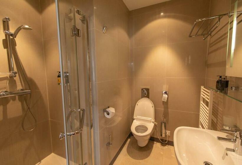 غرفة قياسية, Villa Nečas žilina