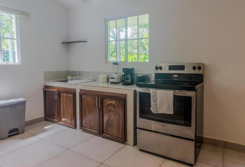 침실 1개 아파트, El Xalli