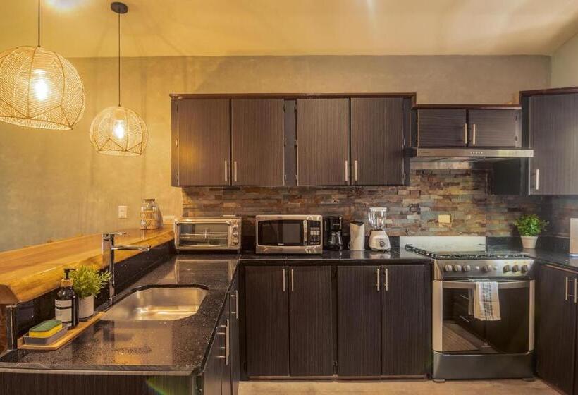 스탠다드 스튜디오, El Xalli