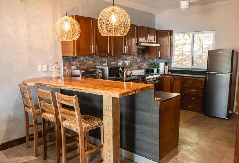 침실 1개 디럭스 아파트, El Xalli