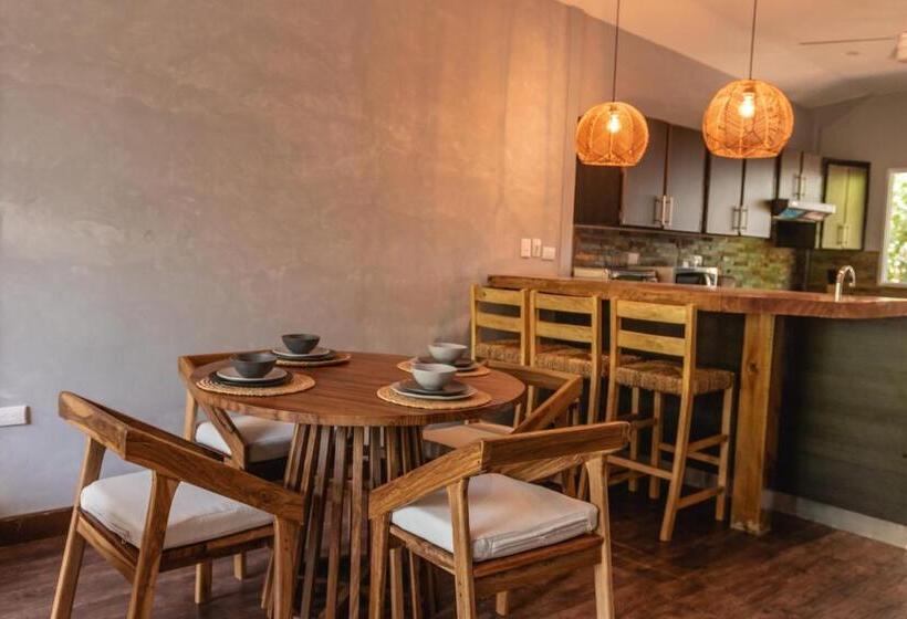 스탠다드 스튜디오 바다 전망, El Xalli