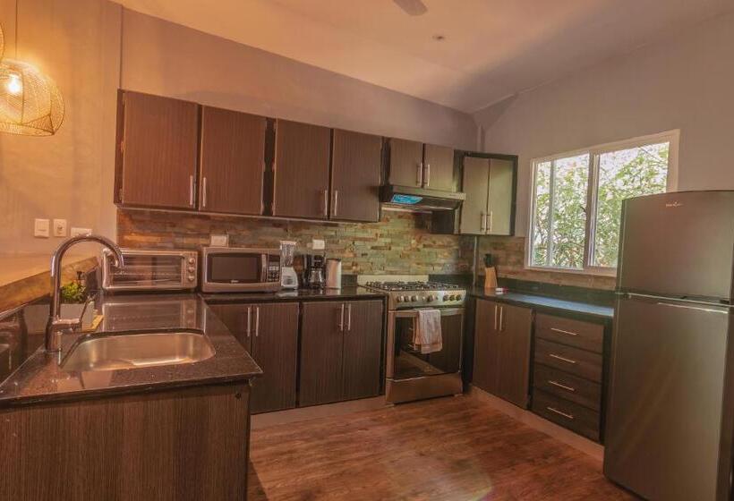 스탠다드 스튜디오 바다 전망, El Xalli