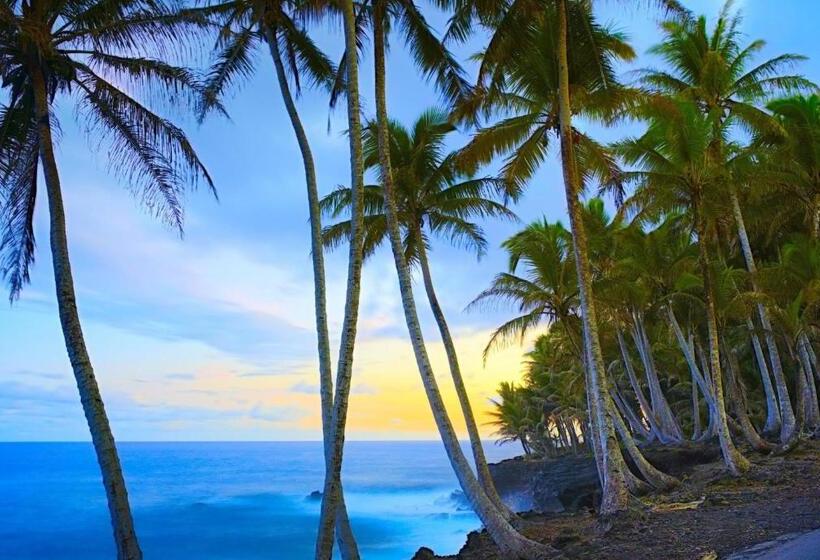 Apartament 1 Dormitor cu Priveliște către Mare, Ocean View Mauna Loa Shores Kai Ekahi #201 Next To Carlsmith Beach Park Hilo Hi