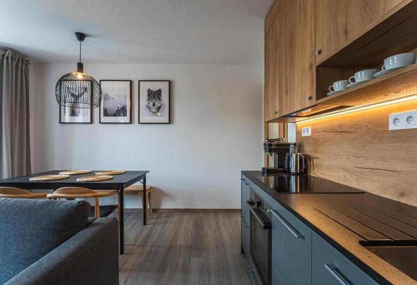 דירת חדר, Abertamy Platz Apartments