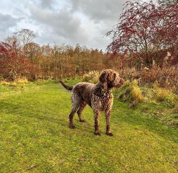 1베드룸 아파트 1층, Apartments At The Black