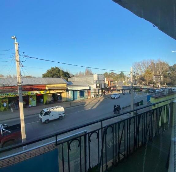 标准间, Hostel Cartel 405