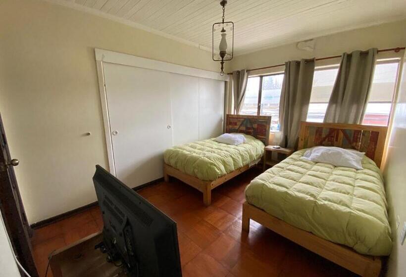 标准间, Hostel Cartel 405