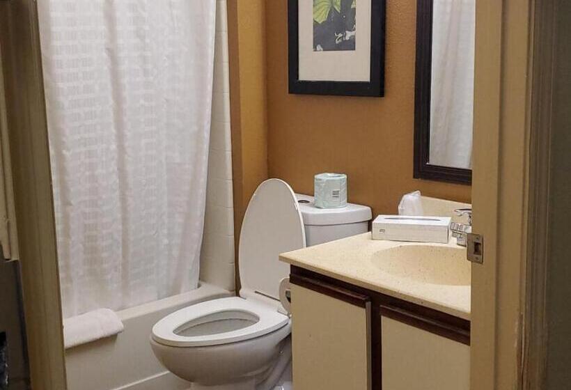 Standard Szoba, Spring Swallow Lodge