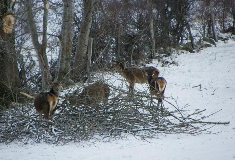 スタンダードルーム, Chez Mary Elise