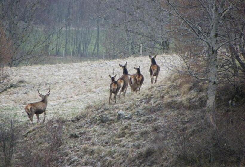 デラックスルーム, Chez Mary Elise