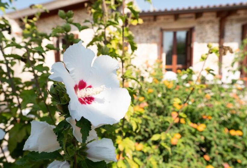 חדר סטנדרט, Agriturismo Masseria Pallanzano
