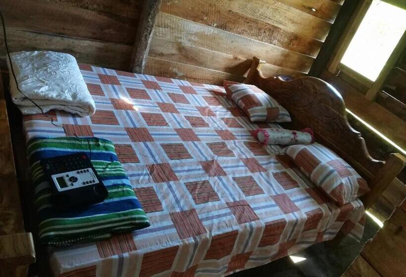 Номер Стандарт с Балконом, Habarana Eco Treehouse