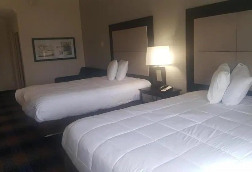 スタンダードルーム, Regency Inn & Suites